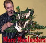 Marc Noelanders - MYSTICKÝ TIS