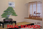 Kunio Kobayashi a jeho PALÁC BONSAJOV