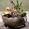 TOKONAME  - Kolíska japonskej keramiky