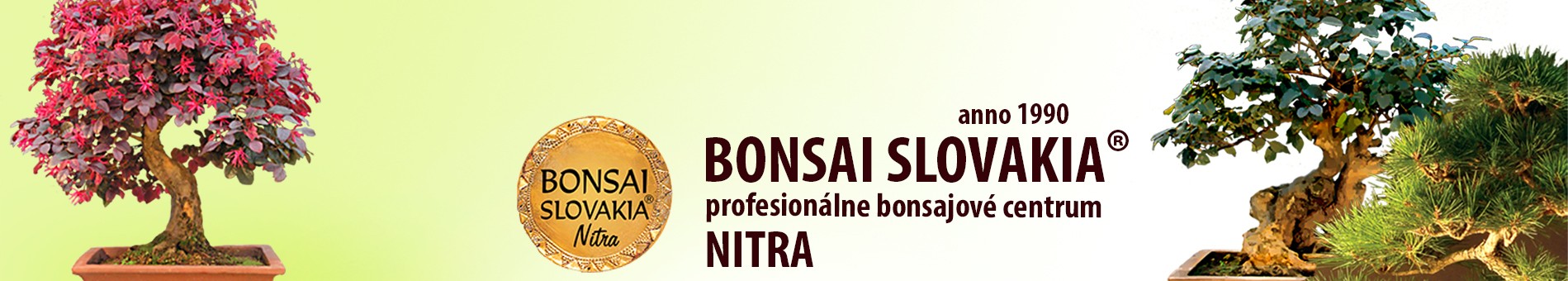 BONSAI SLOVAKIA - NITRA