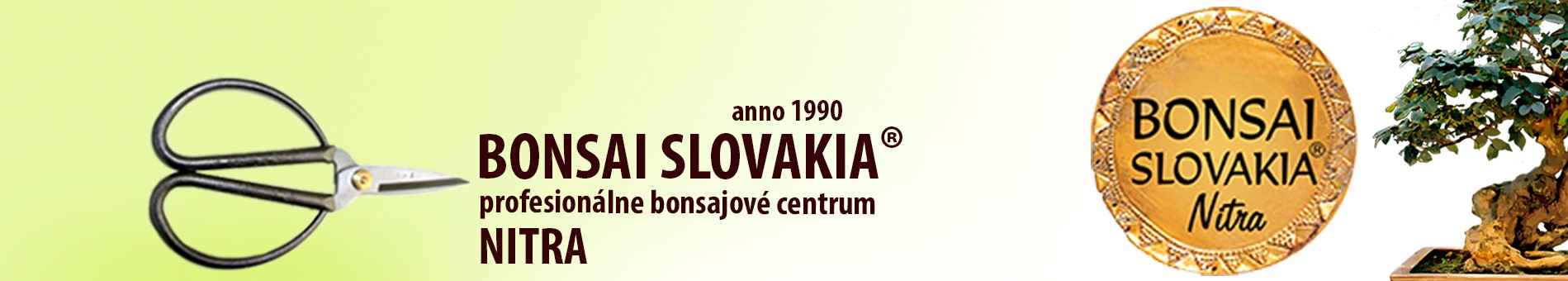 BONSAI SLOVAKIA - NITRA
