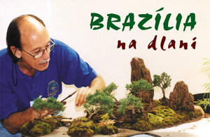 BRAZÍLIA NA DLANI - Mário A. G. Leal