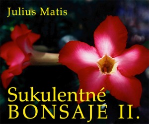 SUKULENTNÉ BONSAJE - II. časť