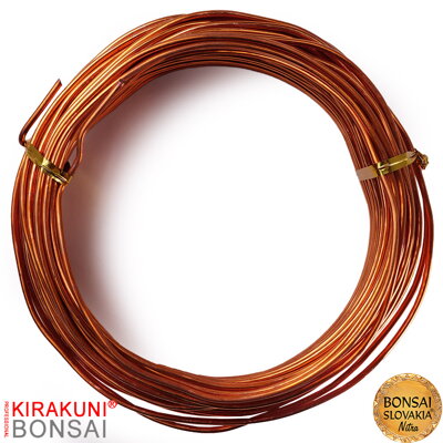 KIRAKUNI PROFESSIONAL - Medený drôt 500g Ø 2,0 mm