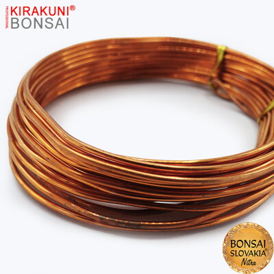 KIRAKUNI PROFESSIONAL - Medený drôt 250g Ø 2,5 mm