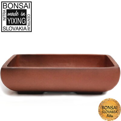YIXING - BONSAI MISKA- SHANGHAI 18
