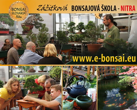 Zážitková bonsajová škola  ZAČÍNAJÚCI BONSAJISTI 2 DNI