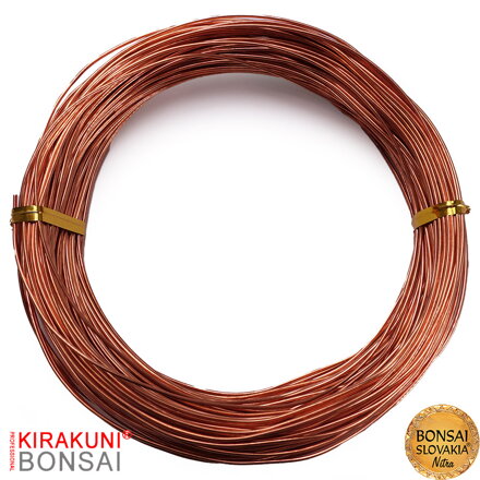 KIRAKUNI PROFESSIONAL - Medený drôt 250g Ø 1 mm