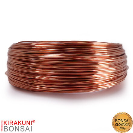 KIRAKUNI PROFESSIONAL - Medený drôt 500g Ø 1 mm