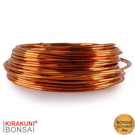 KIRAKUNI PROFESSIONAL - Medený drôt 500g Ø 2,0 mm