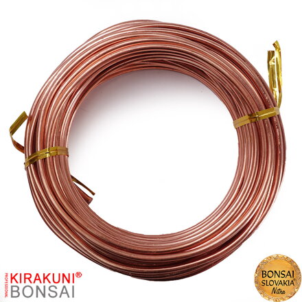 KIRAKUNI PROFESSIONAL - Medený drôt 500g Ø 3,0 mm