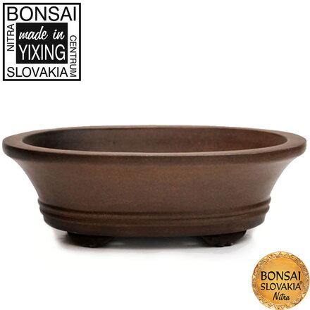 YIXING - BONSAI MISKA MAE 18