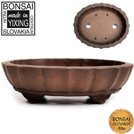 YIXING - BONSAI MISKA HANAMI 17