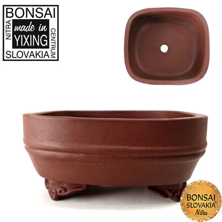 YIXING - MINI BONSAI MISKA DUNI 9