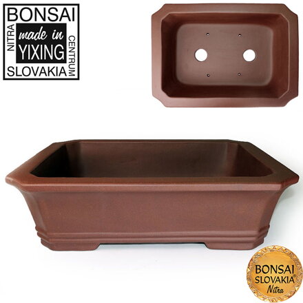 YIXING - BONSAI MISKA KING 31