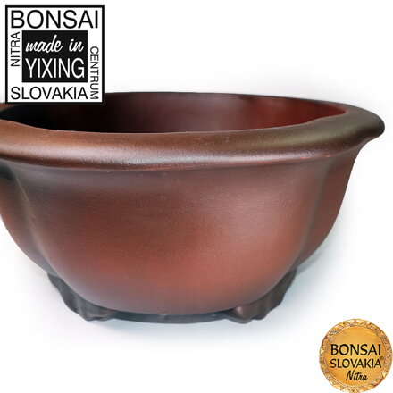 YIXING - BONSAI MISKA LOTOS 30