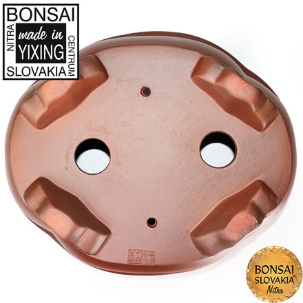 YIXING - BONSAI MISKA LOTOS 30