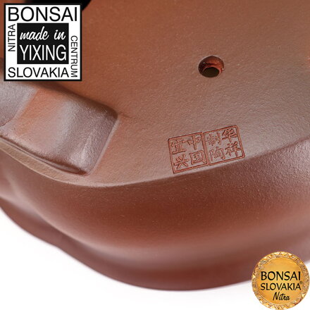 YIXING - BONSAI MISKA LOTOS 30