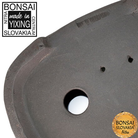 YIXING - BONSAI MISKA SUNG 30+37+44