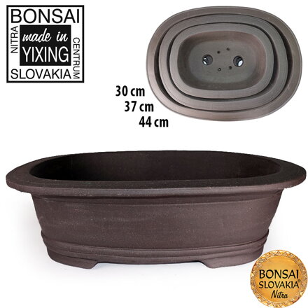 YIXING - BONSAI MISKA SUNG 30+37+44