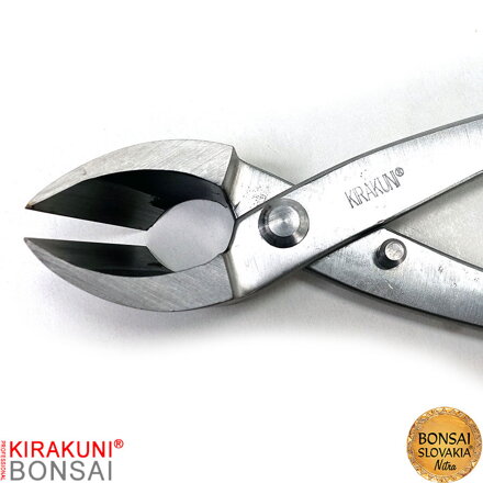 KIRAKUNI PROFESSIONAL - Konkávne kliešte šikmé nerezové 280 mm