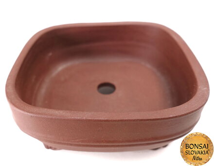 YIXING - MINI BONSAI MISKA DUNI 9