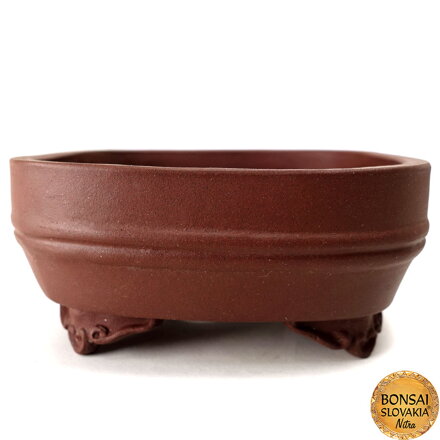YIXING - MINI BONSAI MISKA DUNI 9