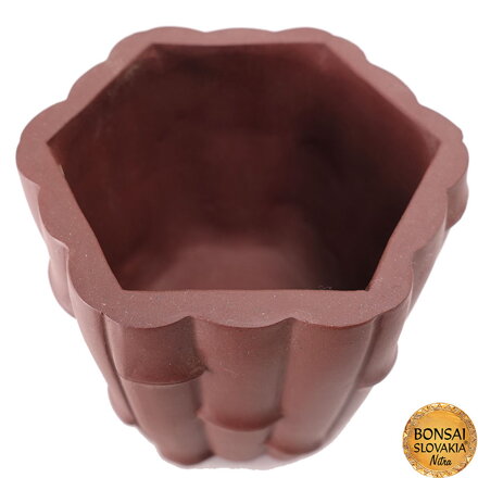 YIXING - MINI BONSAI MISKA BAMBUS 8