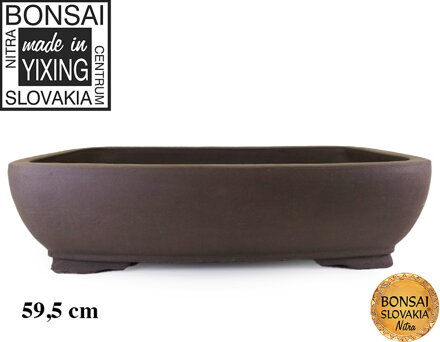 YIXING - BONSAI MISKA HIDEYOSHI 50,5cm