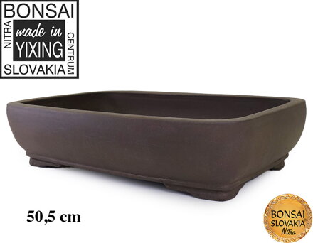 YIXING - BONSAI MISKA HIDEYOSHI 50,5cm