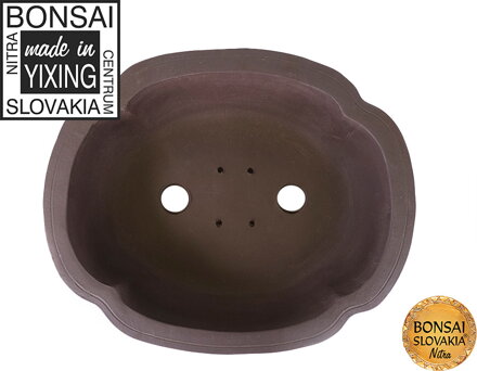 YIXING - BONSAI MISKA GOKU 40-48,5