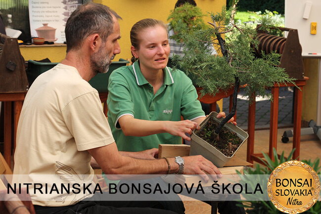 NITRIANSKA BONSAJOVÁ ŠKOLA IX. 2013