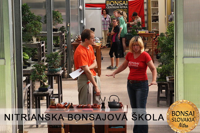 NITRIANSKA BONSAJOVÁ ŠKOLA IX. 2013