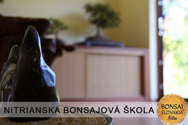 NITRIANSKA BONSAJOVÁ ŠKOLA IX. 2013
