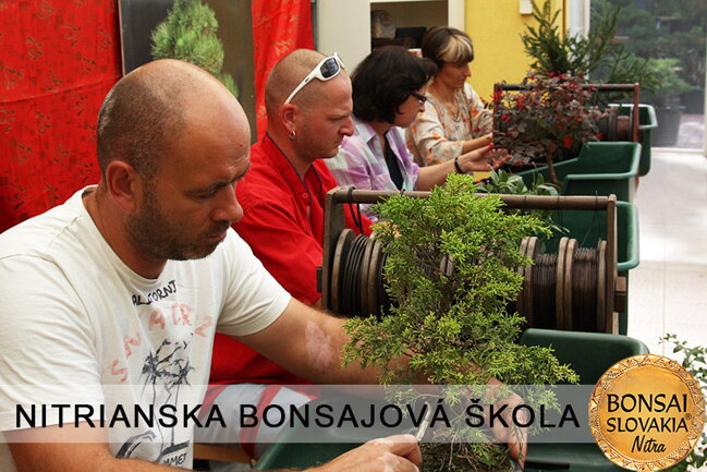 NITRIANSKA BONSAJOVÁ ŠKOLA IX. 2013