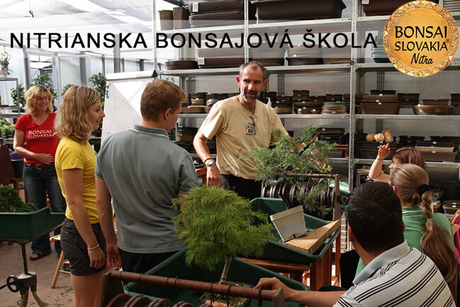 NITRIANSKA BONSAJOVÁ ŠKOLA IX. 2013