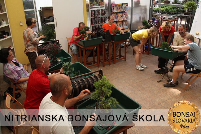 NITRIANSKA BONSAJOVÁ ŠKOLA IX. 2013