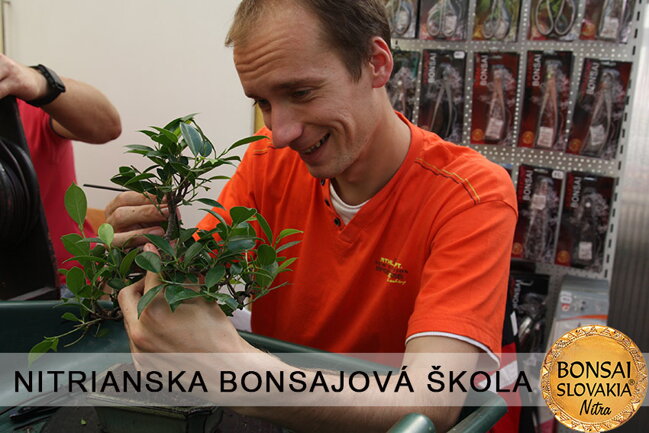 NITRIANSKA BONSAJOVÁ ŠKOLA IX. 2013