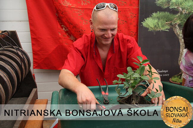 NITRIANSKA BONSAJOVÁ ŠKOLA IX. 2013