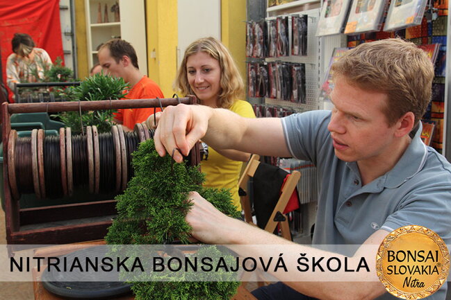 NITRIANSKA BONSAJOVÁ ŠKOLA IX. 2013