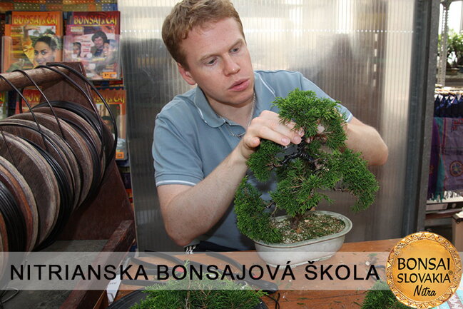 NITRIANSKA BONSAJOVÁ ŠKOLA IX. 2013
