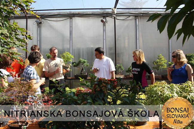 NITRIANSKA BONSAJOVÁ ŠKOLA IX. 2013