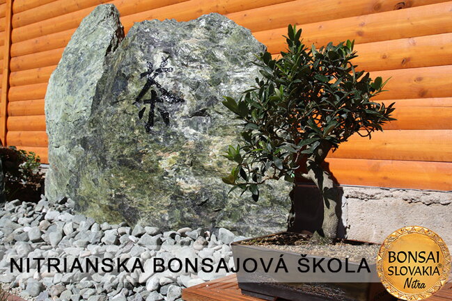 NITRIANSKA BONSAJOVÁ ŠKOLA IX. 2013