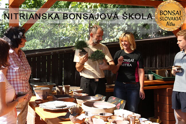 NITRIANSKA BONSAJOVÁ ŠKOLA IX. 2013