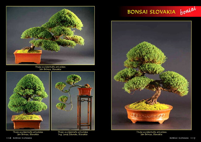 BONSAI SLOVAKIA Kniha priateľstva The Book of Friendship