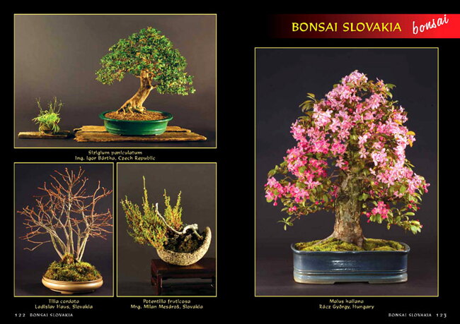 BONSAI SLOVAKIA Kniha priateľstva The Book of Friendship