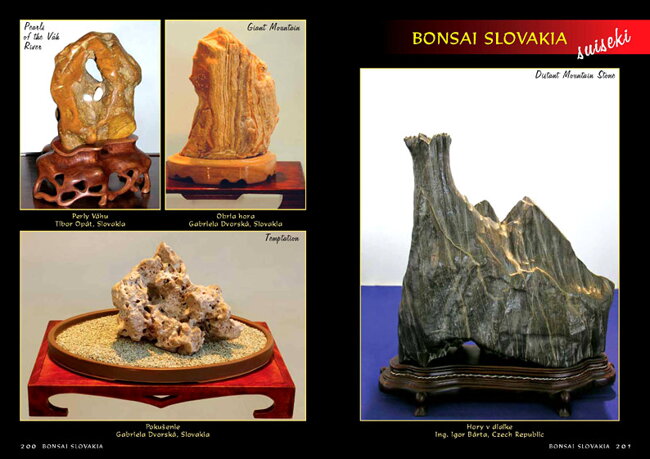 BONSAI SLOVAKIA Kniha priateľstva The Book of Friendship