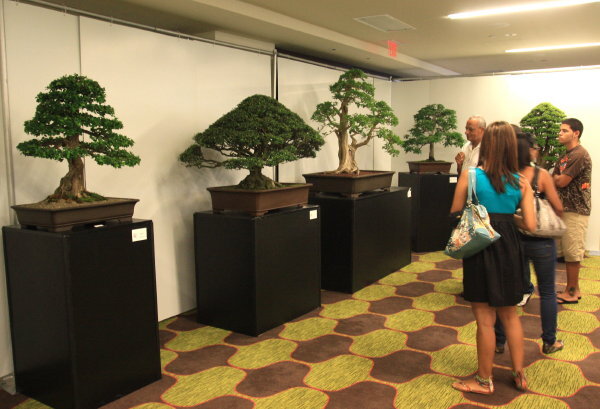 6th World Bonsai Congress, San Juan, Puerto Rico