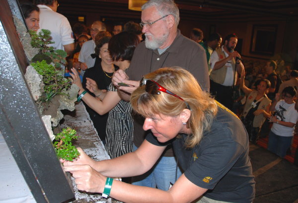 6th World Bonsai Congress, San Juan, Puerto Rico