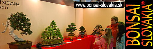 BONSAI SLOVAKIA - NITRA